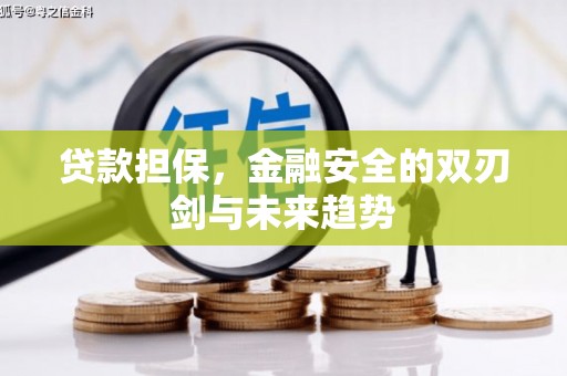 老河口贷款担保，金融安全的双刃剑与未来趋势