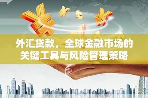 老河口外汇贷款，全球金融市场的关键工具与风险管理策略