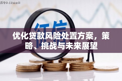 老河口优化贷款风险处置方案，策略、挑战与未来展望