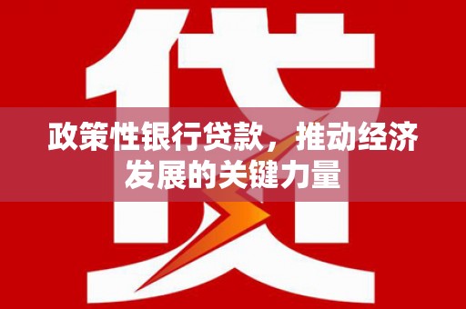 老河口政策性银行贷款，推动经济发展的关键力量