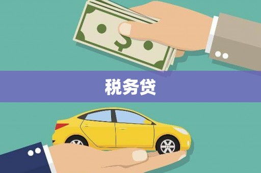 老河口税务贷