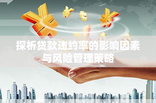 老河口探析贷款违约率的影响因素与风险管理策略