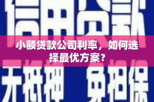 老河口小额贷款公司利率，如何选择最优方案？