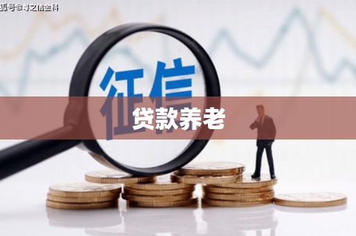 老河口贷款养老