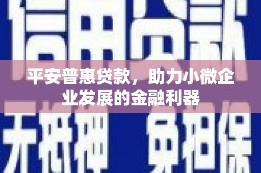 老河口平安普惠贷款，助力小微企业发展的金融利器