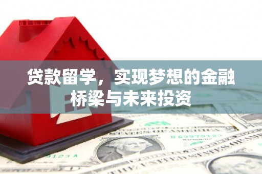 老河口贷款留学，实现梦想的金融桥梁与未来投资