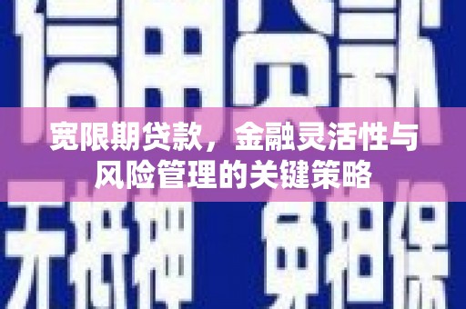 老河口宽限期贷款，金融灵活性与风险管理的关键策略