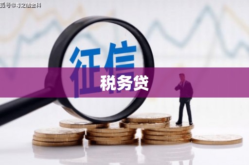老河口税务贷