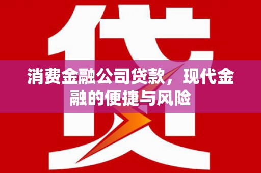 老河口消费金融公司贷款，现代金融的便捷与风险