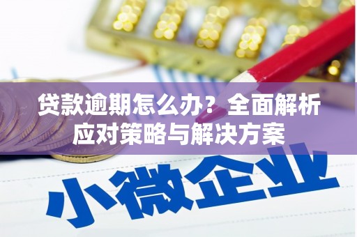 老河口贷款逾期怎么办？全面解析应对策略与解决方案