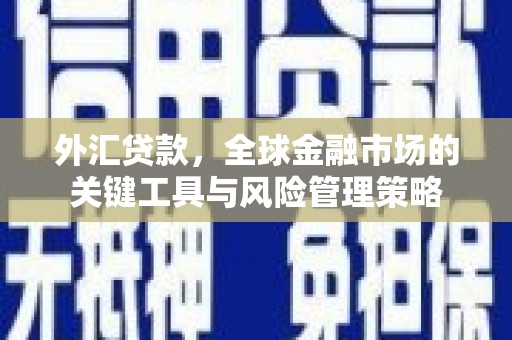 老河口外汇贷款，全球金融市场的关键工具与风险管理策略