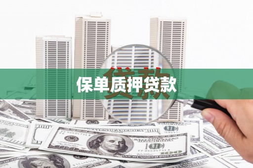 老河口保单质押贷款