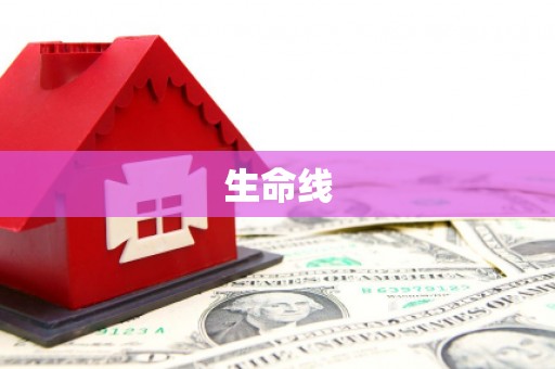 老河口生命线