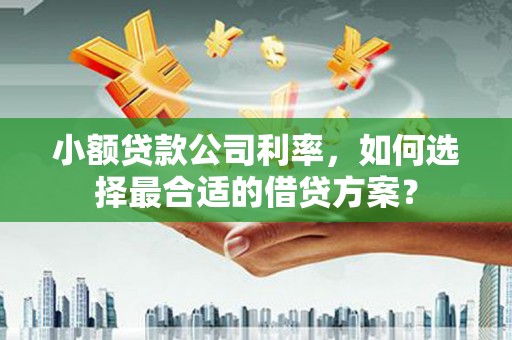 老河口小额贷款公司利率，如何选择最合适的借贷方案？