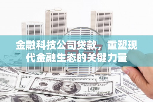 老河口金融科技公司贷款，重塑现代金融生态的关键力量
