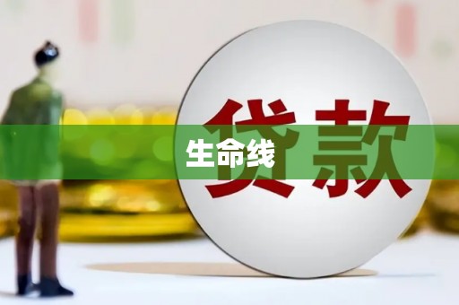 老河口生命线
