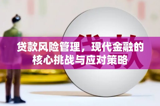 老河口贷款风险管理，现代金融的核心挑战与应对策略