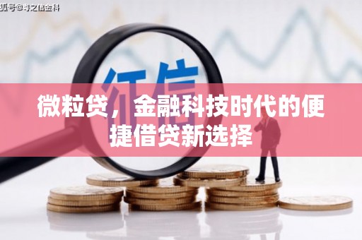 老河口微粒贷，金融科技时代的便捷借贷新选择