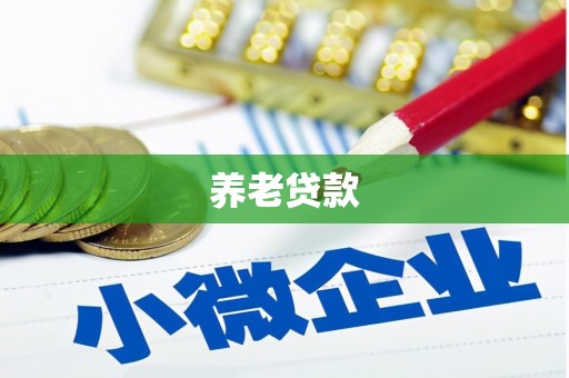 老河口养老贷款