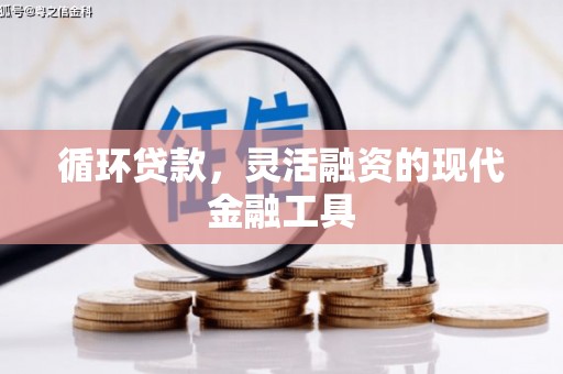 老河口循环贷款，灵活融资的现代金融工具