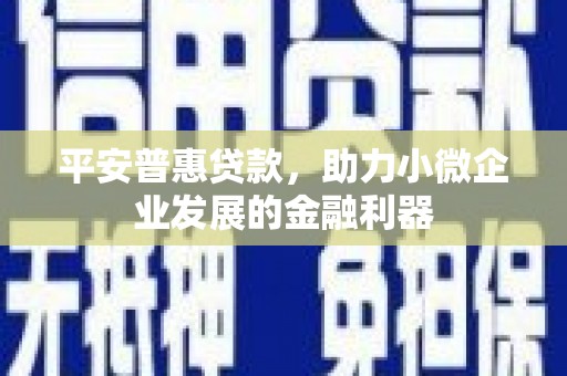 老河口平安普惠贷款，助力小微企业发展的金融利器