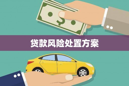 老河口贷款风险处置方案