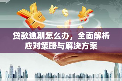 老河口贷款逾期怎么办，全面解析应对策略与解决方案